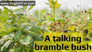 A talking bramble bush
