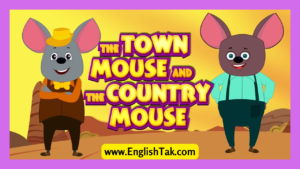 A Town and A Country Mouse