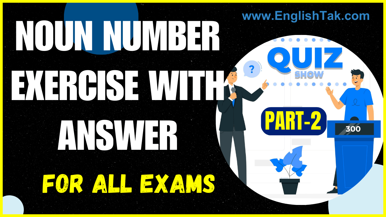 Noun Exercise with Answer Set-2
