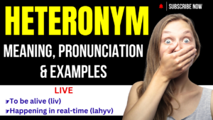 Heteronym Meaning Pronunciation & Examples