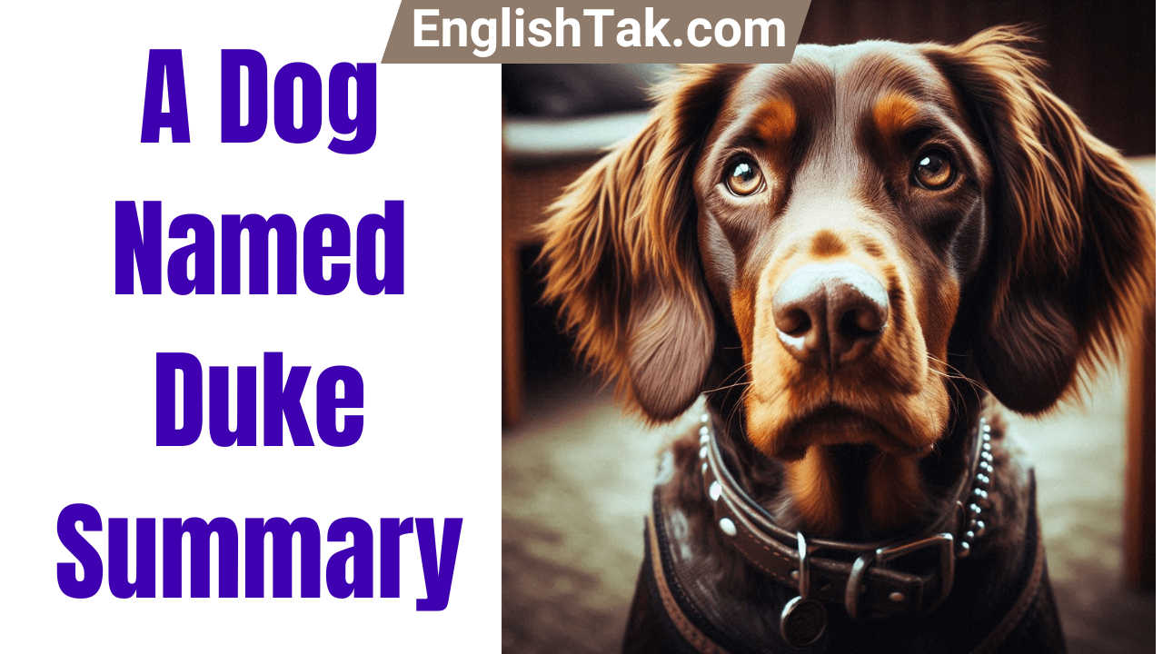 A Dog Named Duke Summary in English